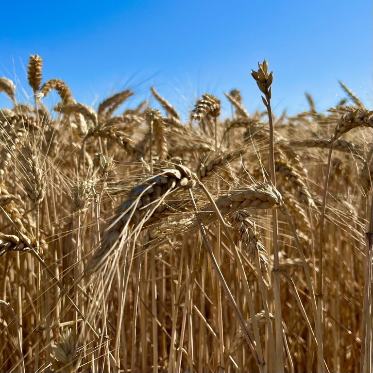 02 002 IMG 2879 2 (Custom)