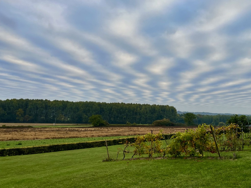 02 006 IMG 3431 (Custom)