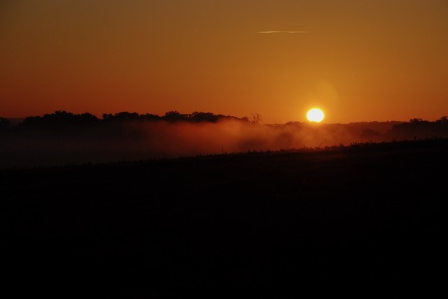 02 007 DSC 0015 (Custom)