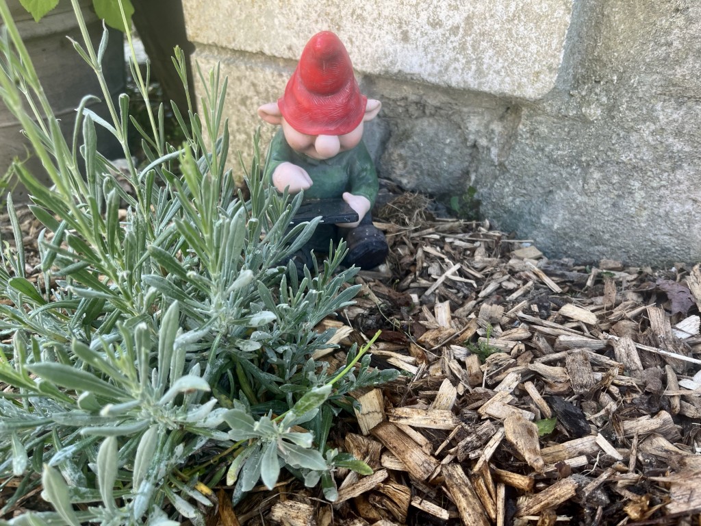 02 009 IMG 2819 (Custom)