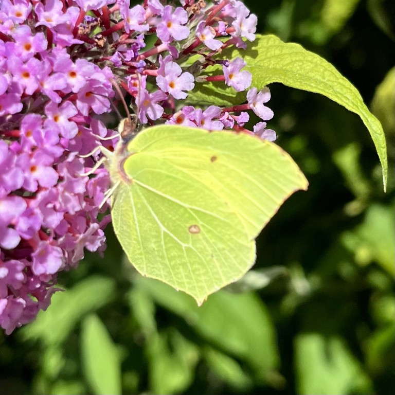 02 010 01 IMG 3055 (Custom)