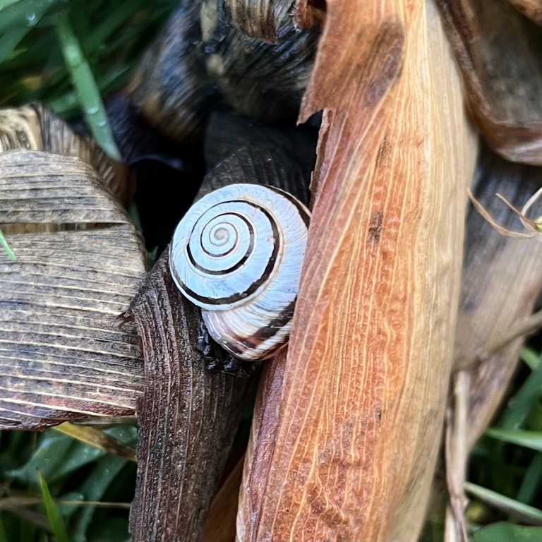 02 010 02 IMG 3652 (Custom)