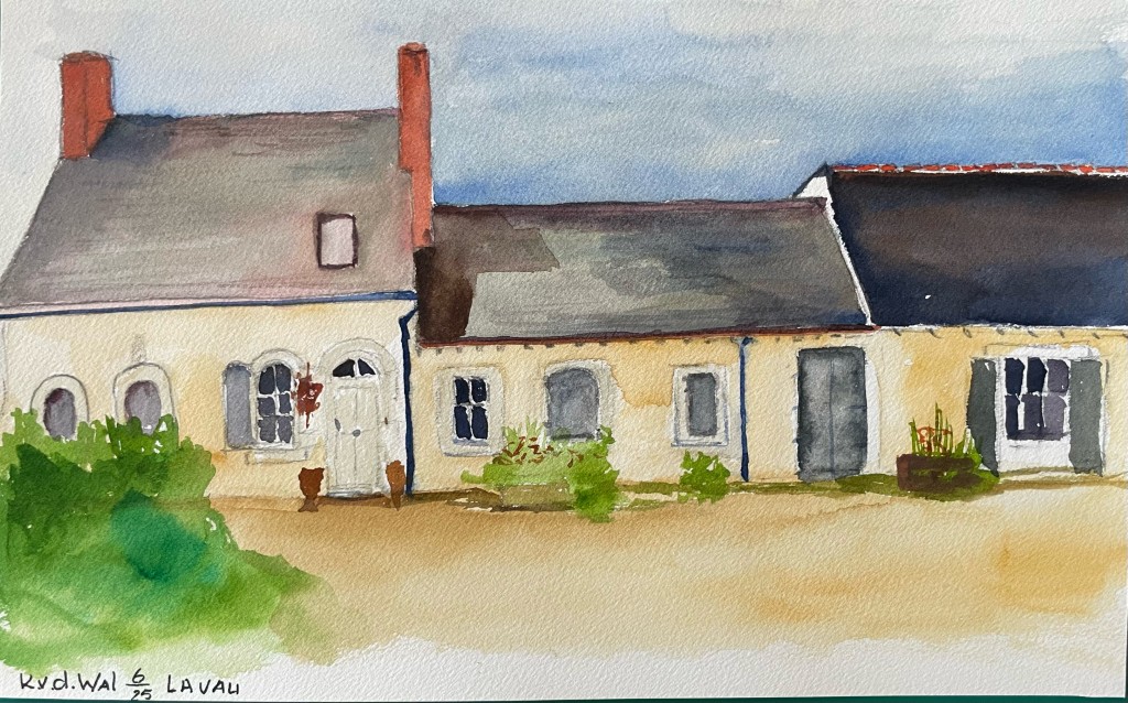 02 013 IMG 4846 (Custom)