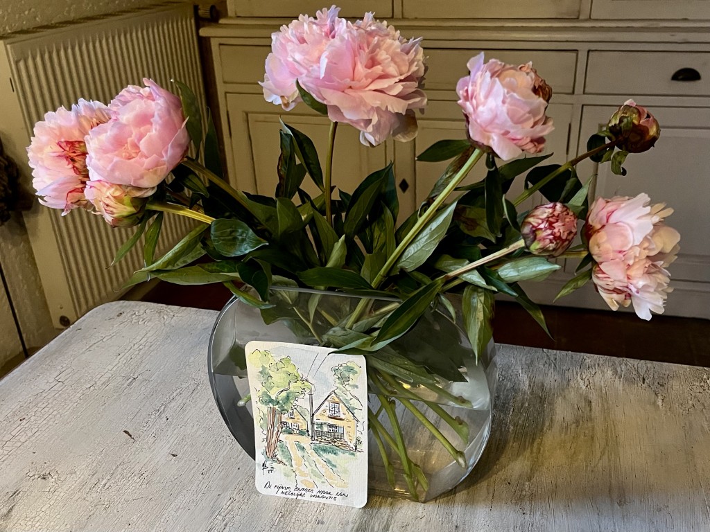 02 014 IMG 2782 2 (Custom)