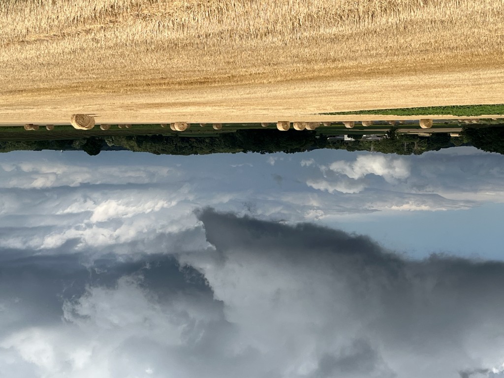 02 017 IMG 2968 (Custom)