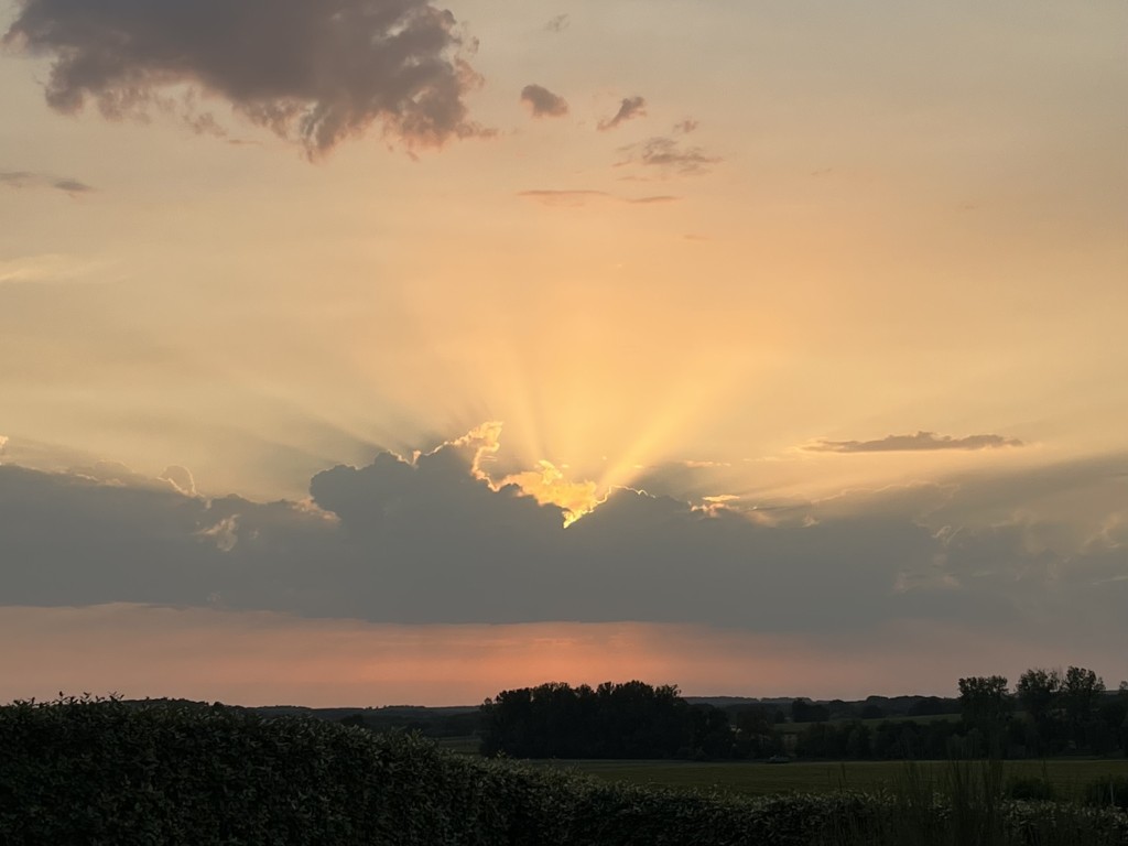 02 018 IMG 3165 (Custom)