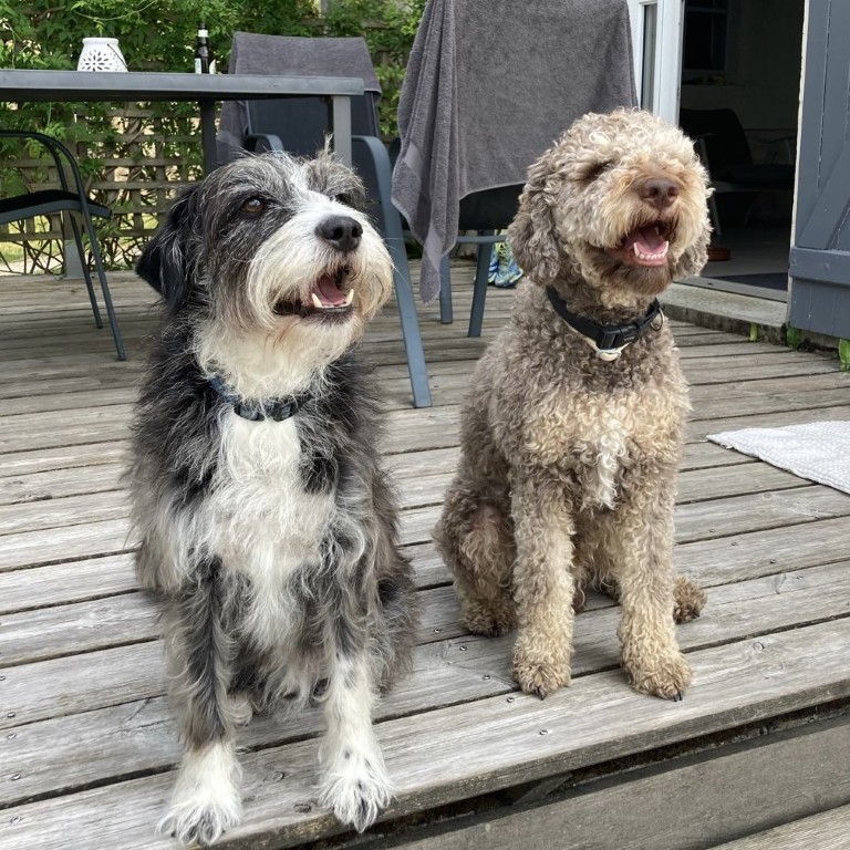 02 019 435c102d c38a 4ef4 a9c6 611412e1ef9a (Custom)