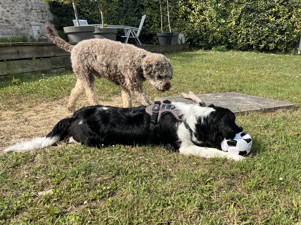 02 020 02 IMG 2743 (Custom)