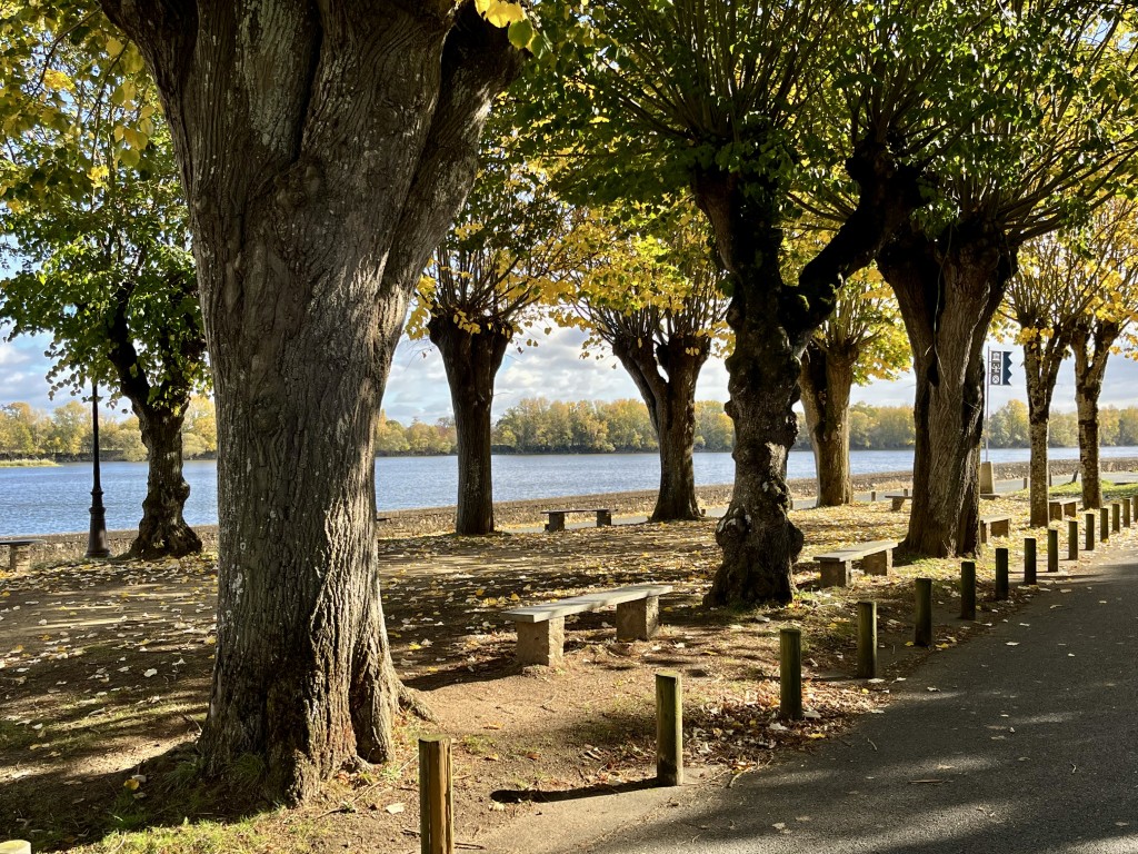 02 025 IMG 3624 (Custom)