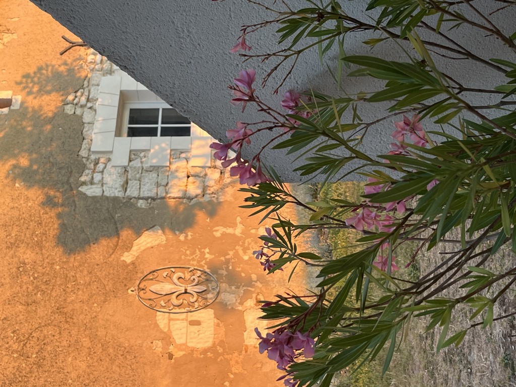 03 001 IMG 3013 (Custom)