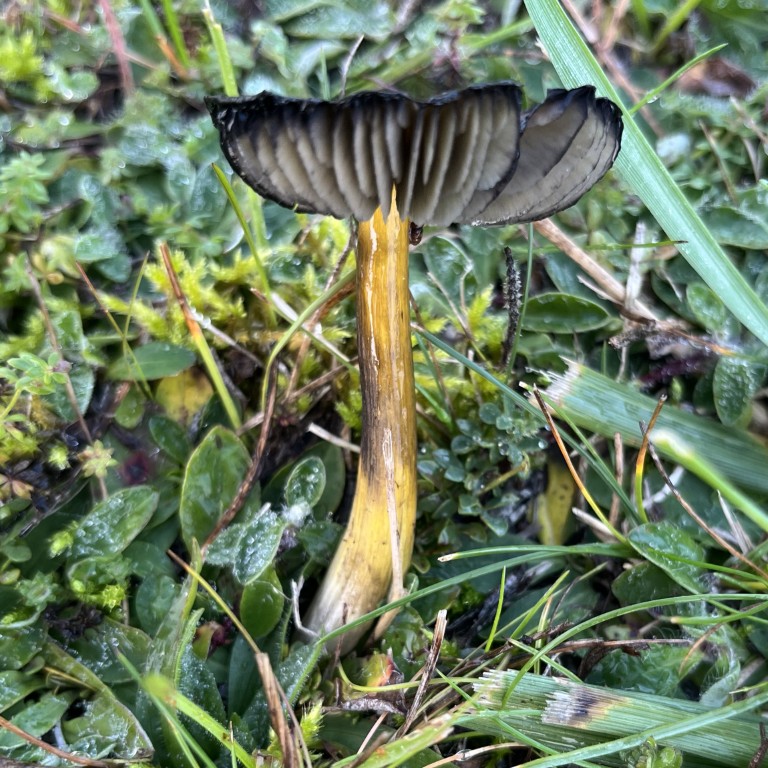 03 003 IMG 3686 (Custom)