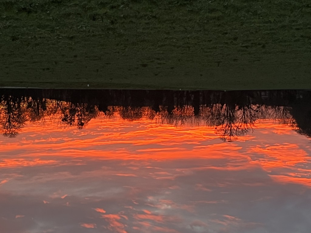 03 005 IMG 3972 (Custom)