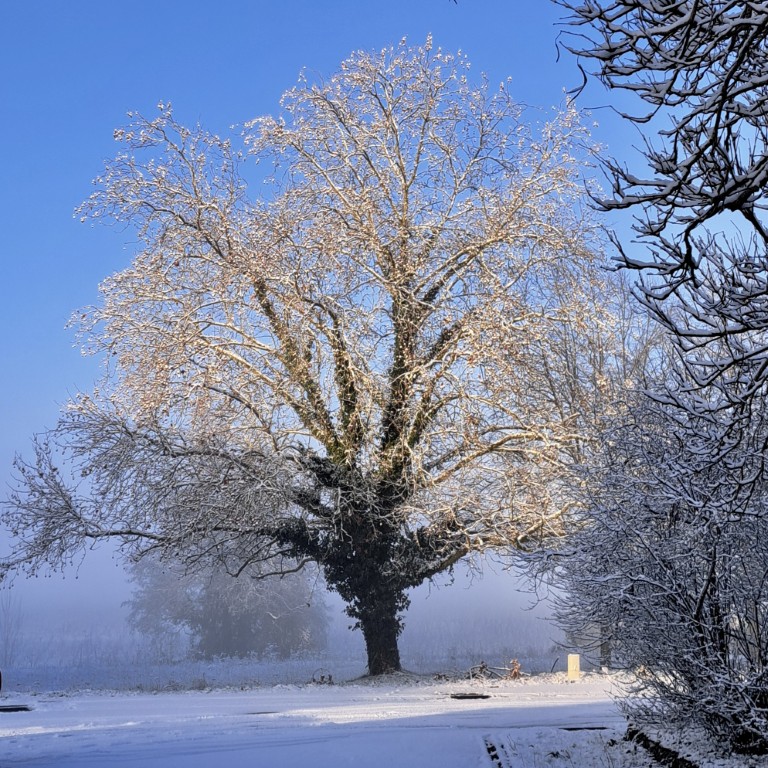 03 010 20260106 095845 (Custom)