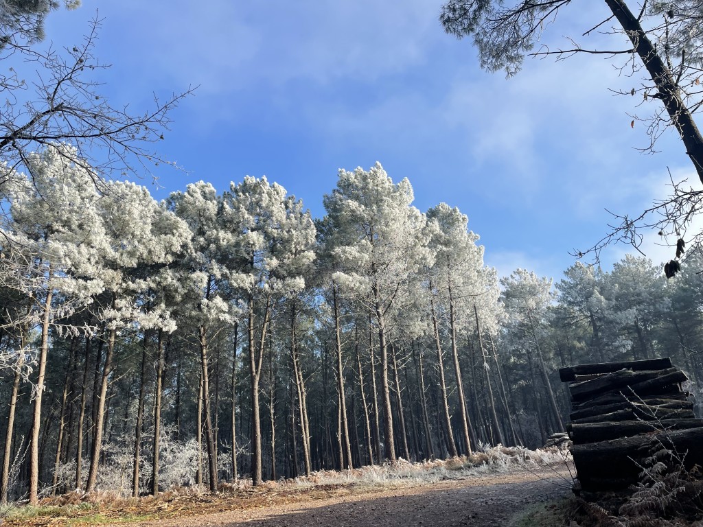 03 011 IMG 2558 (Custom)