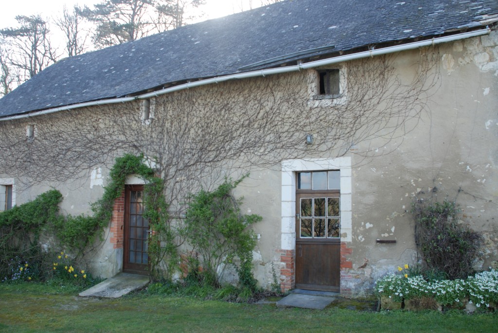 04 04 DSC 0045 (Custom)