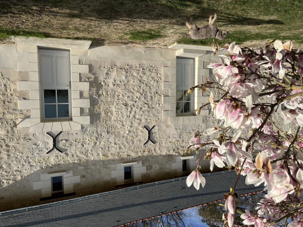 04 05 IMG 4560 (Custom)