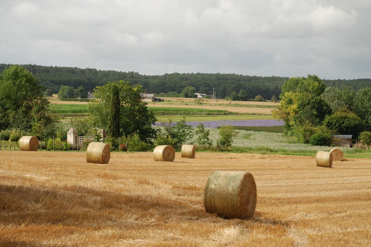 La Cabane gite - Lavau Vacances - Anjou - France